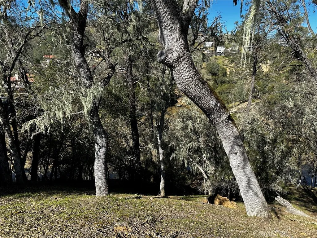 8209 Woody Point, Bradley, CA 93426 - Photo 3 of 15, Bradley, CA