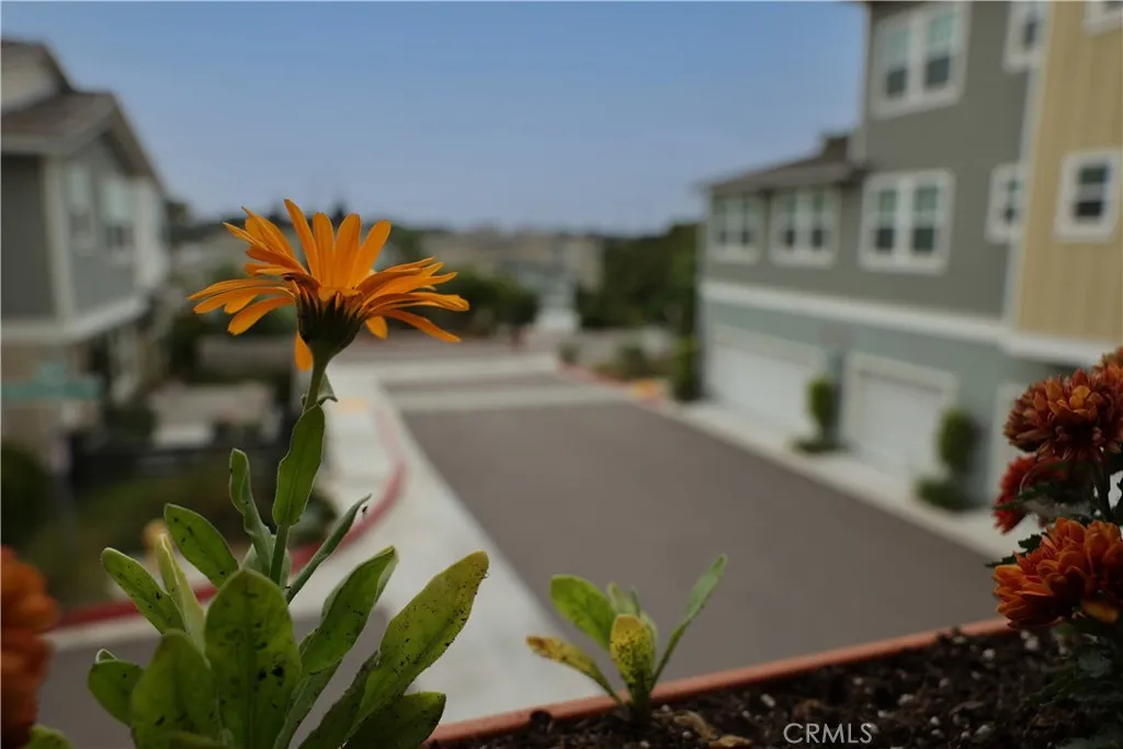 Photo #3: OC25085055 Listing 