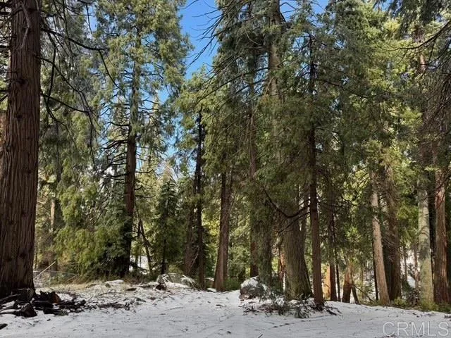 https://cdn.realtyfeed.com/cdn/127/306453447/9367bb6187ed34ca6b30db6761df68fa.webp
