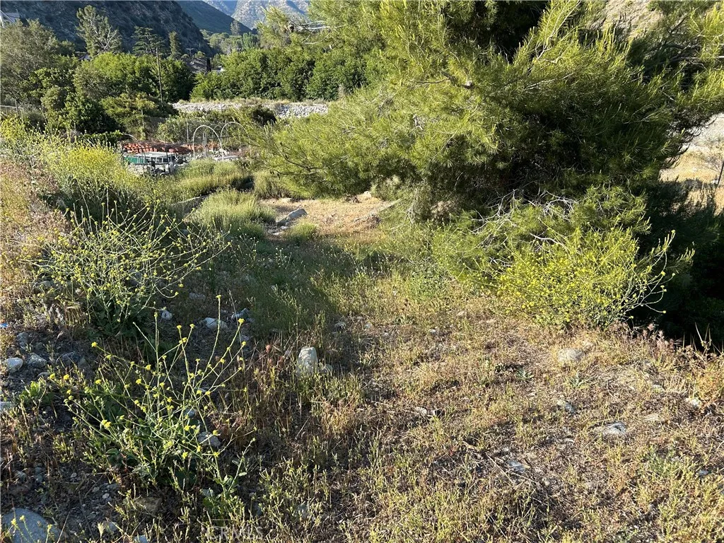 795 Melody, Lytle Creek, CA 92358 - Photo 5 of 9, Lytle Creek, CA