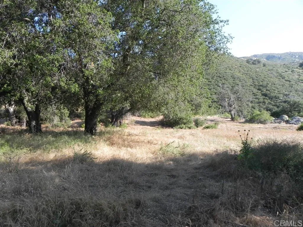 9363 Via Arturo, Descanso, CA 91916 - Photo 4 of 7, Descanso, CA