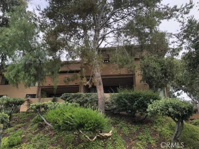 Photo #11: TR25122531 Listing: Photo #11