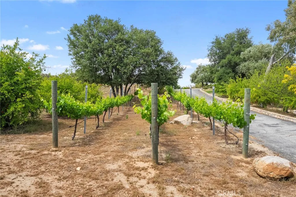 0 Hombre, Murrieta, CA 92562