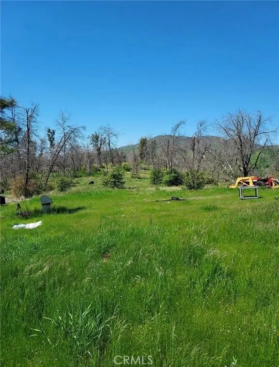 3109 Wild Dove, Mariposa, CA 95338 - Main photo, Mariposa, CA