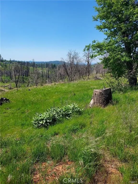 3109 Wild Dove, Mariposa, CA 95338 - Photo 3 of 9, Mariposa, CA