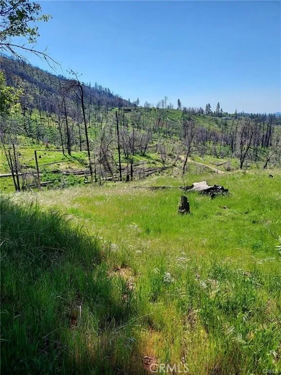 3109 Wild Dove, Mariposa, CA 95338 - Photo 4 of 9, Mariposa, CA