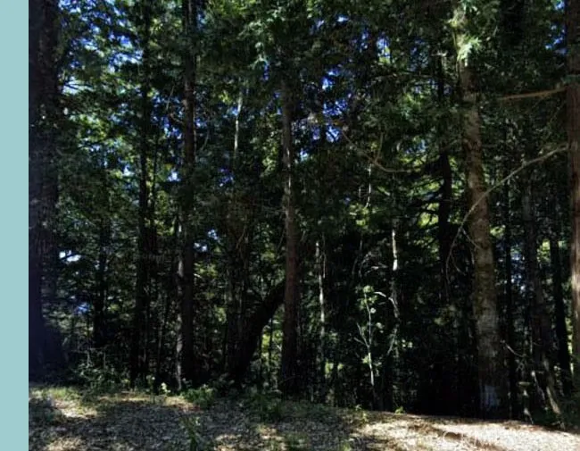 5181 Blue Lake, Willits, CA 95490