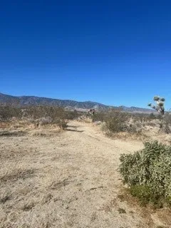 0 Pine Tree, Pinon Hills, CA 92372 - Photo 3 of 5, Pinon Hills, CA