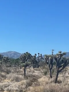 0 Pine Tree, Pinon Hills, CA 92372 - Photo 5 of 5, Pinon Hills, CA