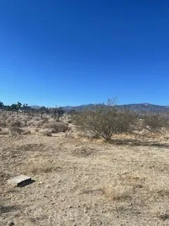 0 Pine Tree, Pinon Hills, CA 92372 - Photo 2 of 5, Pinon Hills, CA
