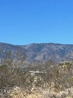 0 Pine Tree, Pinon Hills, CA 92372 - Photo 4 of 5, Pinon Hills, CA