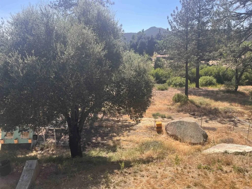 https://cdn.realtyfeed.com/cdn/127/306463227/0cdfb1e25bfe343fb7f76175c76ccedf.webp