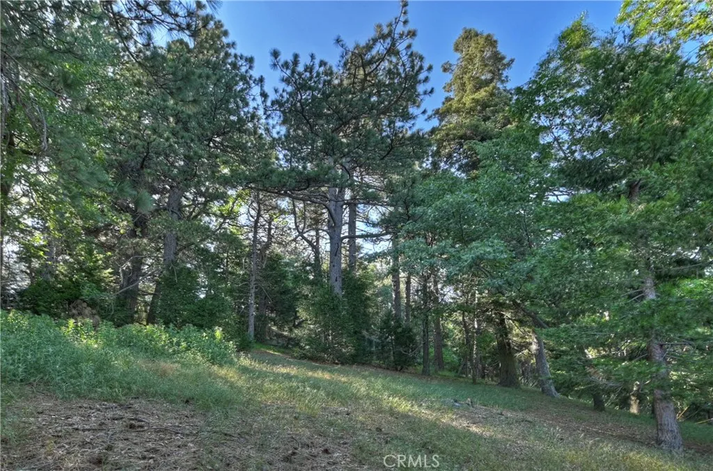 21764 Peak South, Cedarpines Park, CA 92322 - Photo 3 of 19, Cedarpines Park, CA