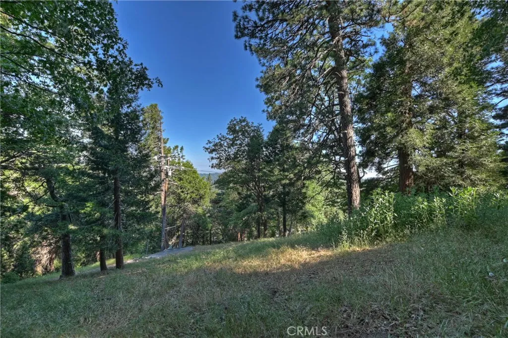 21764 Peak South, Cedarpines Park, CA 92322 - Photo 5 of 19, Cedarpines Park, CA