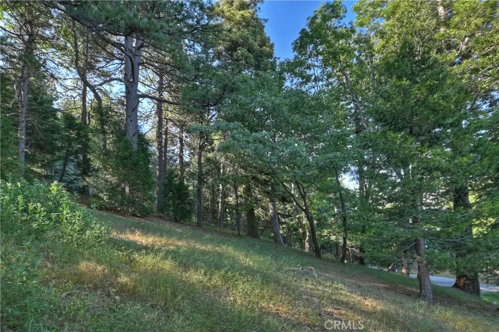 21764 Peak South, Cedarpines Park, CA 92322 - Photo 4 of 19, Cedarpines Park, CA