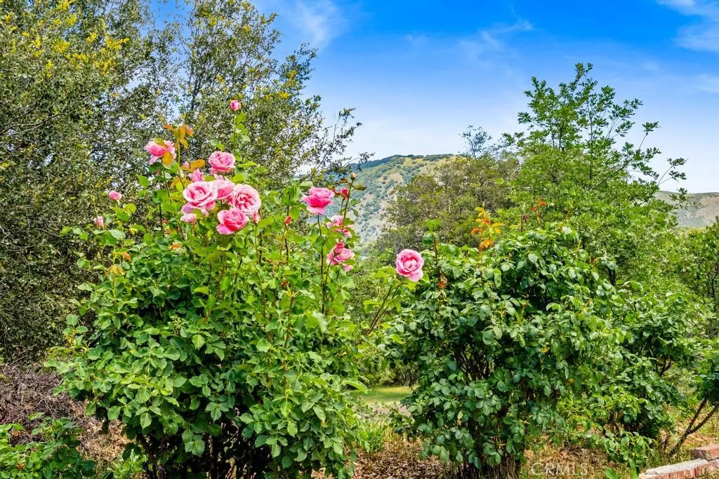 https://cdn.realtyfeed.com/cdn/127/306465853/36596558505842532c8851d72365a35b.webp