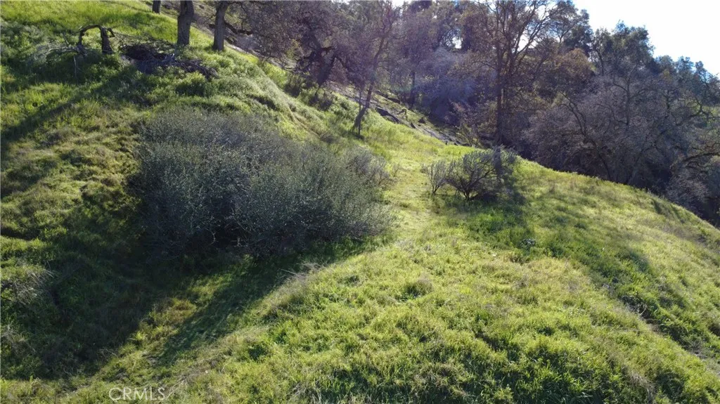 0 Roundtree, Squaw Valley, CA 93675 - Photo 3 of 14, Squaw Valley, CA