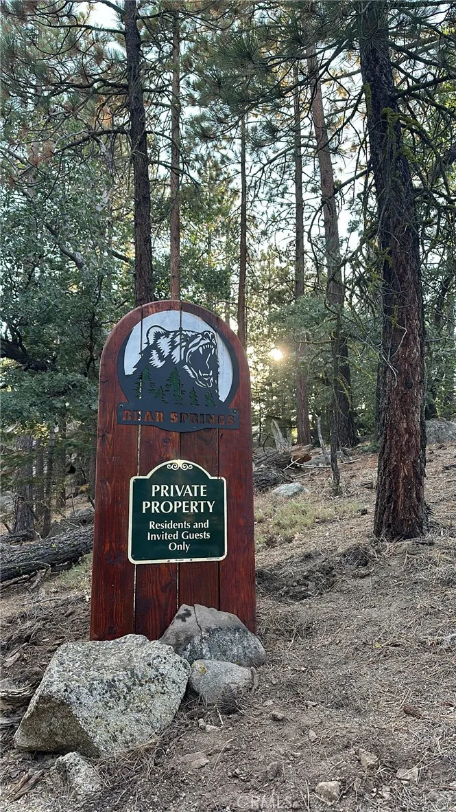 15331003 Mountain Meadow