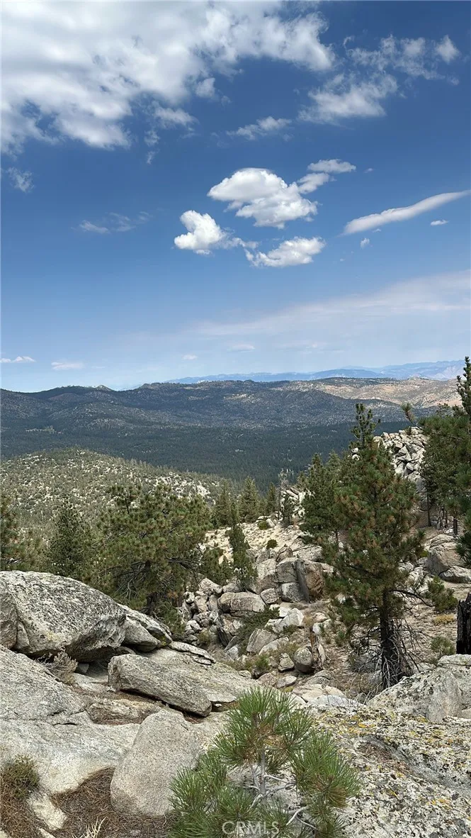 15331005 Mountain Meadow