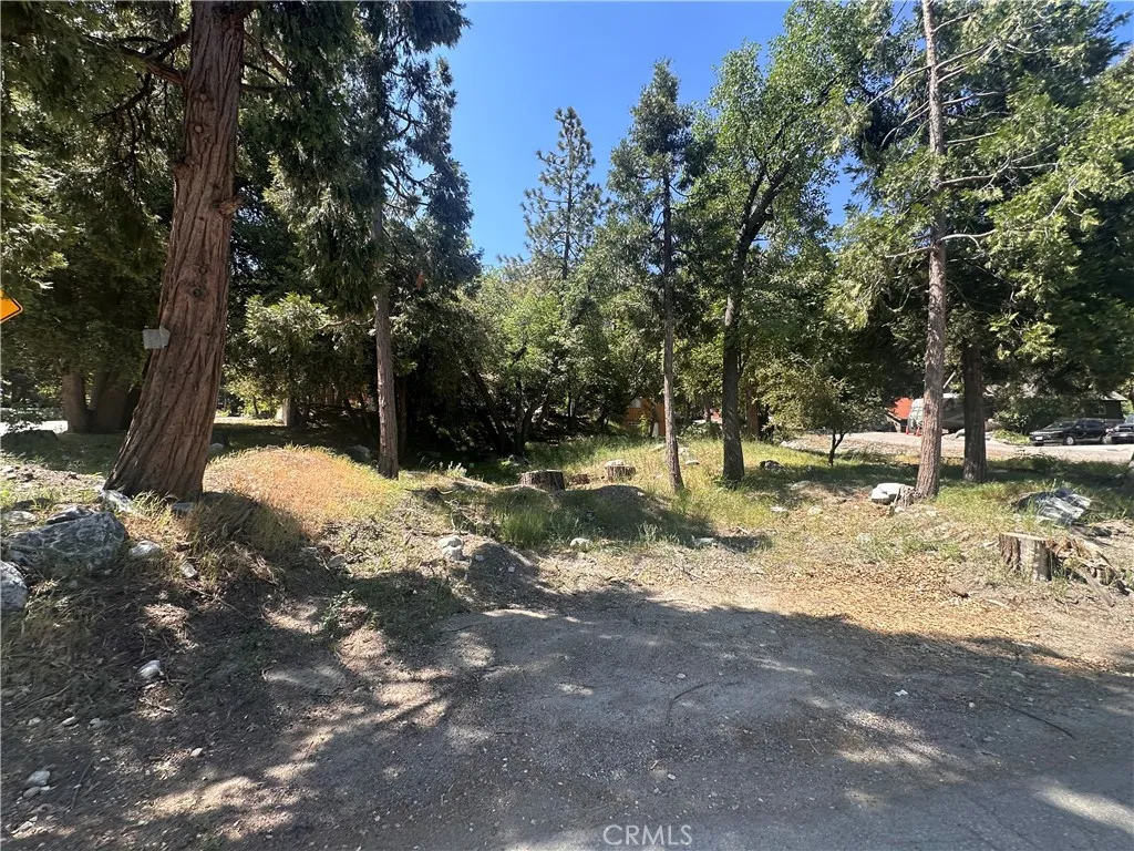 0 Valley Of The Falls, Forest Falls, CA 92339