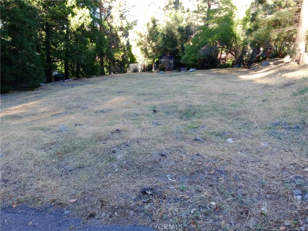 Wrightwood, CA 92397