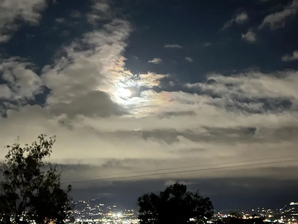 Photo #27: PTP2504632 Listing: Photo #27