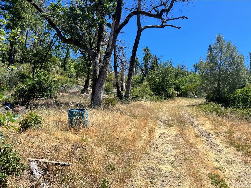 10725 Gifford Springs, Cobb, CA 95426 - Photo 4 of 7, Cobb, CA