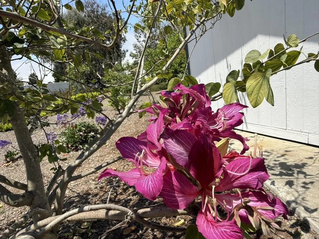 https://cdn.realtyfeed.com/cdn/127/306476092/a3a561314393cdef6e0355bbc693da9e.webp