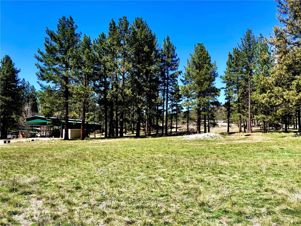 Mountain Center, CA 92561