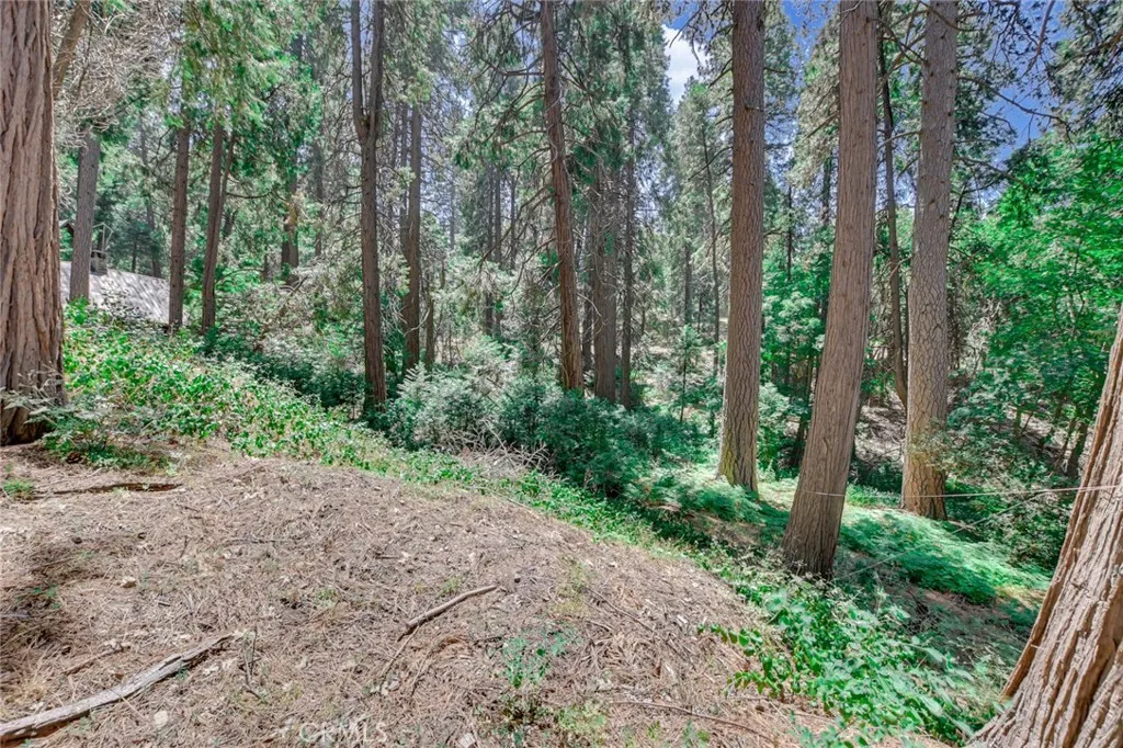 590 Electra, Crestline, CA 92325 - Photo 5 of 23, Crestline, CA