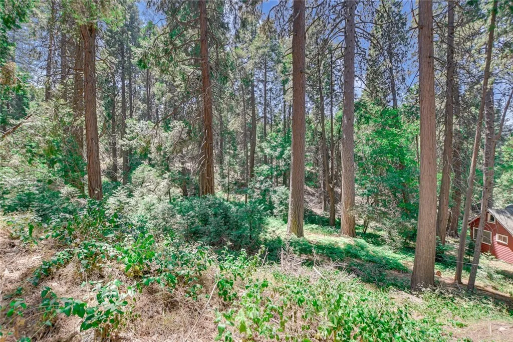 590 Electra, Crestline, CA 92325 - Photo 3 of 23, Crestline, CA