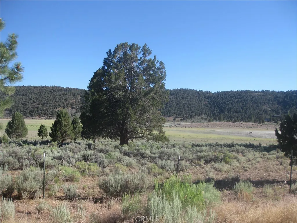 2809 Cedar, Big Bear City, CA 92314 - Photo 2 of 3, Big Bear City, CA