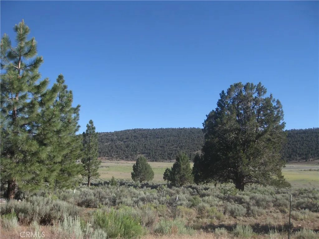 2809 Cedar, Big Bear City, CA 92314 - Photo 3 of 3, Big Bear City, CA