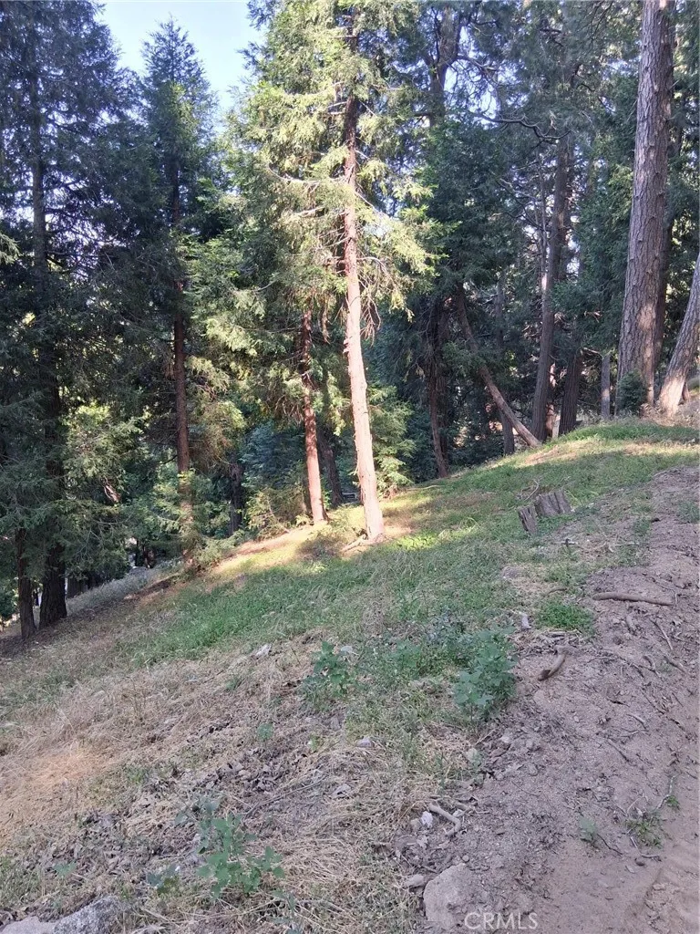 61 Evergreen, Cedarpines Park, CA 92322