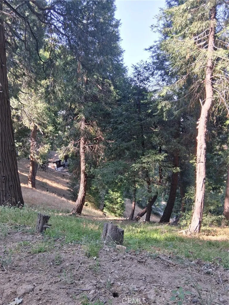 61 Evergreen, Cedarpines Park, CA 92322 - Photo 3 of 6, Cedarpines Park, CA