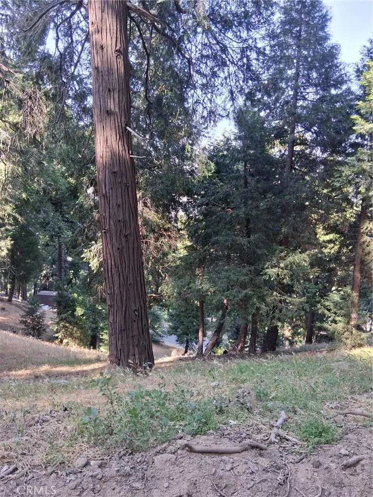 61 Evergreen, Cedarpines Park, CA 92322 - Photo 4 of 6, Cedarpines Park, CA