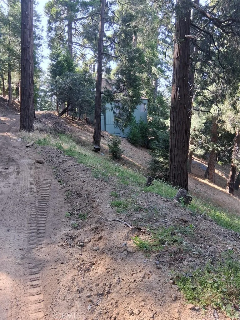 61 Evergreen, Cedarpines Park, CA 92322 - Photo 2 of 6, Cedarpines Park, CA