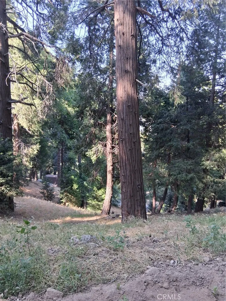 61 Evergreen, Cedarpines Park, CA 92322 - Photo 5 of 6, Cedarpines Park, CA