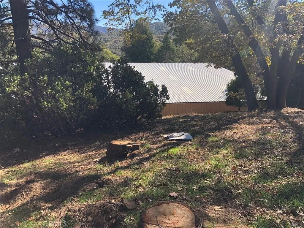 29151 Lyon, Cedar Glen, CA 92321