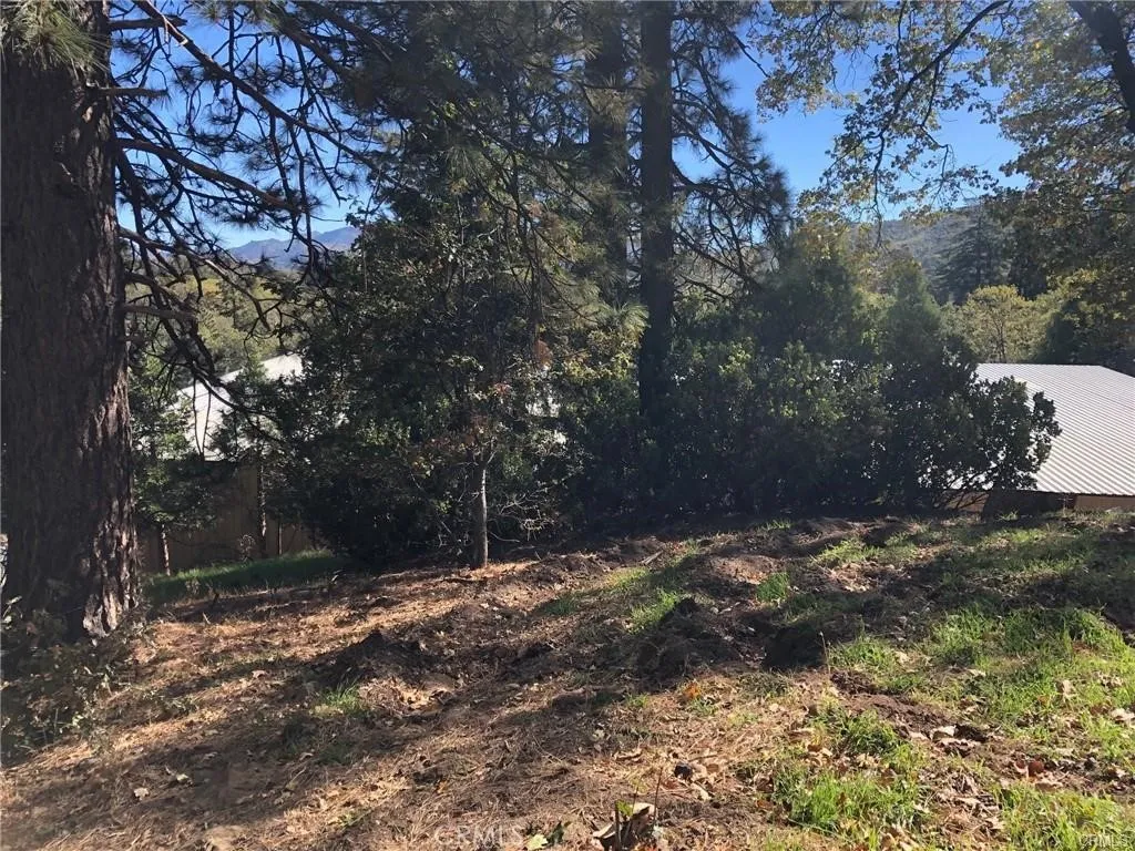 29151 Lyon, Cedar Glen, CA 92321 - Photo 2 of 7, Cedar Glen, CA