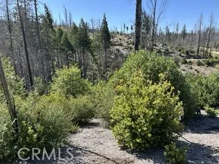 0 Oak, Berry Creek, CA 95916 - Photo 4 of 9, Berry Creek, CA