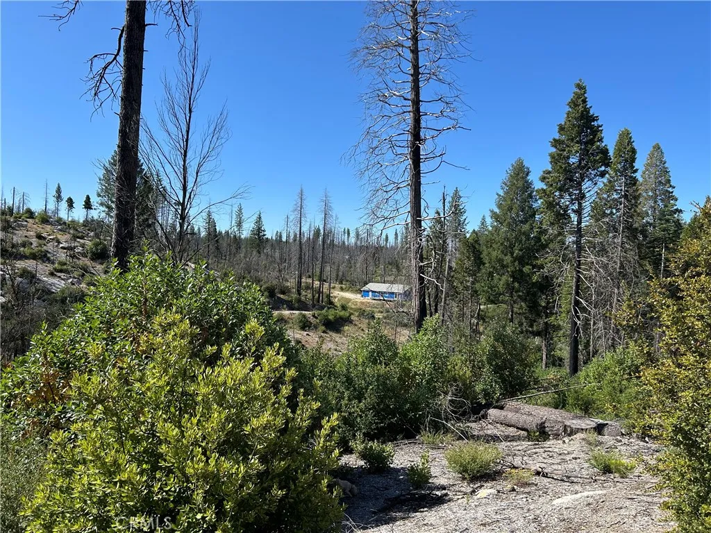 0 Oak, Berry Creek, CA 95916 - Photo 2 of 9, Berry Creek, CA