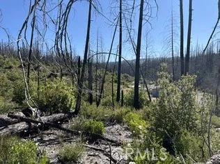 0 Oak, Berry Creek, CA 95916 - Photo 5 of 9, Berry Creek, CA