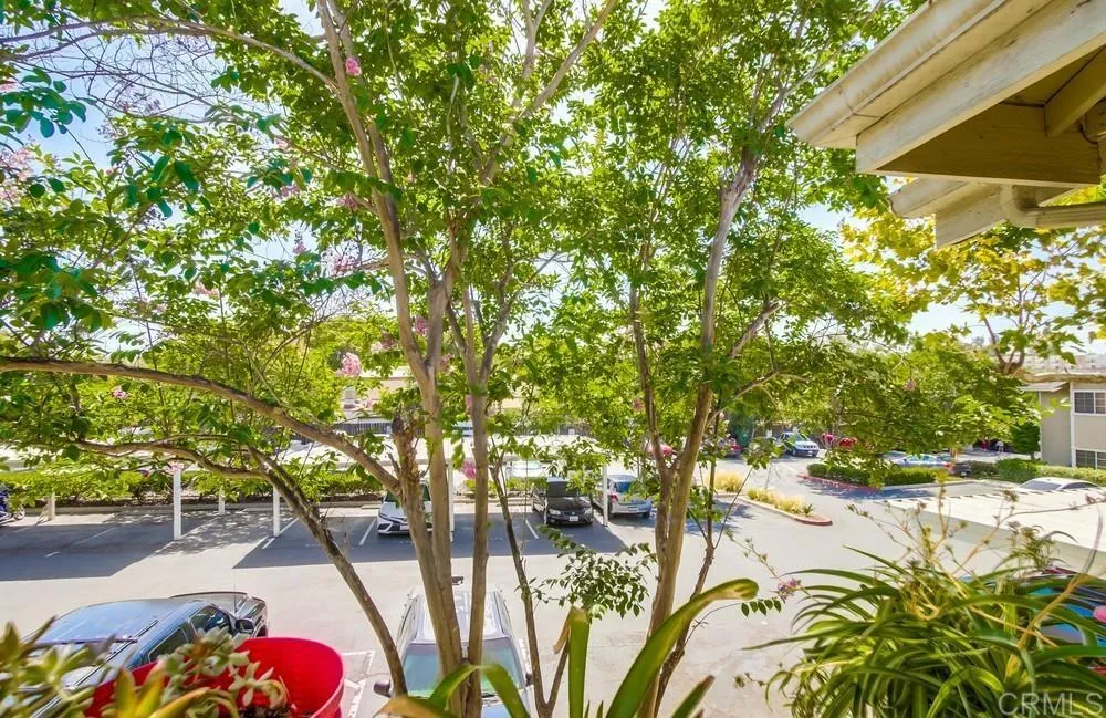 Photo #18: PTP2505014 Listing: Photo #18
