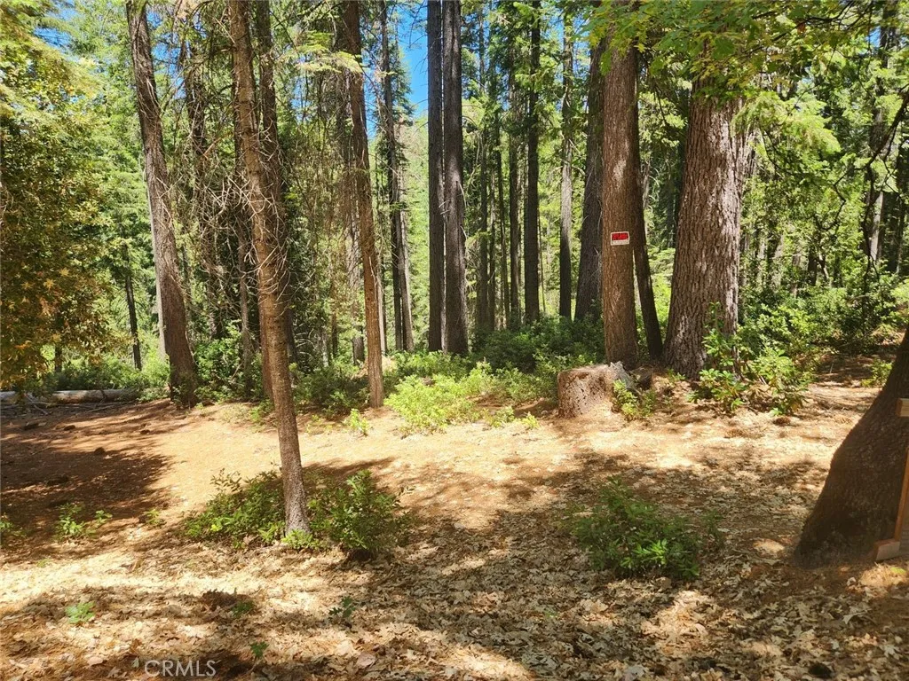 6296 Merry, Clipper Mills, CA 95930 - Photo 5 of 21, Clipper Mills, CA