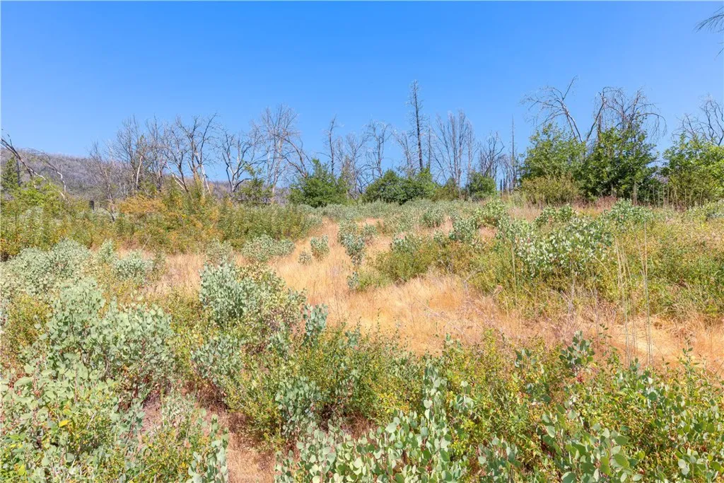 653 Jatko, Berry Creek, CA 95916 - Photo 3 of 4, Berry Creek, CA