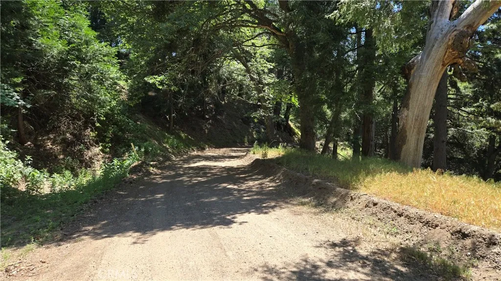 0 Hope, Cedarpines Park, CA 92322 - Photo 5 of 7, Cedarpines Park, CA