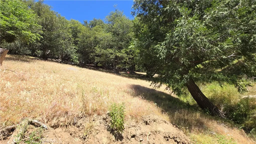 0 Hope, Cedarpines Park, CA 92322 - Photo 2 of 7, Cedarpines Park, CA