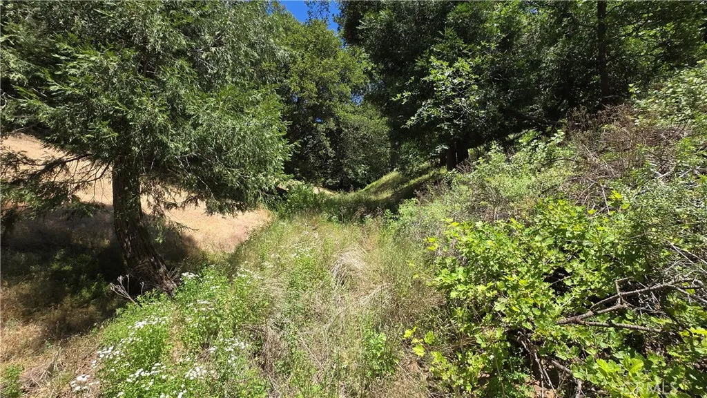 0 Hope, Cedarpines Park, CA 92322