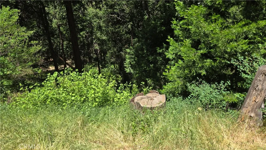 0 Cedar Pines, Cedarpines Park, CA 92322 - Photo 2 of 9, Cedarpines Park, CA